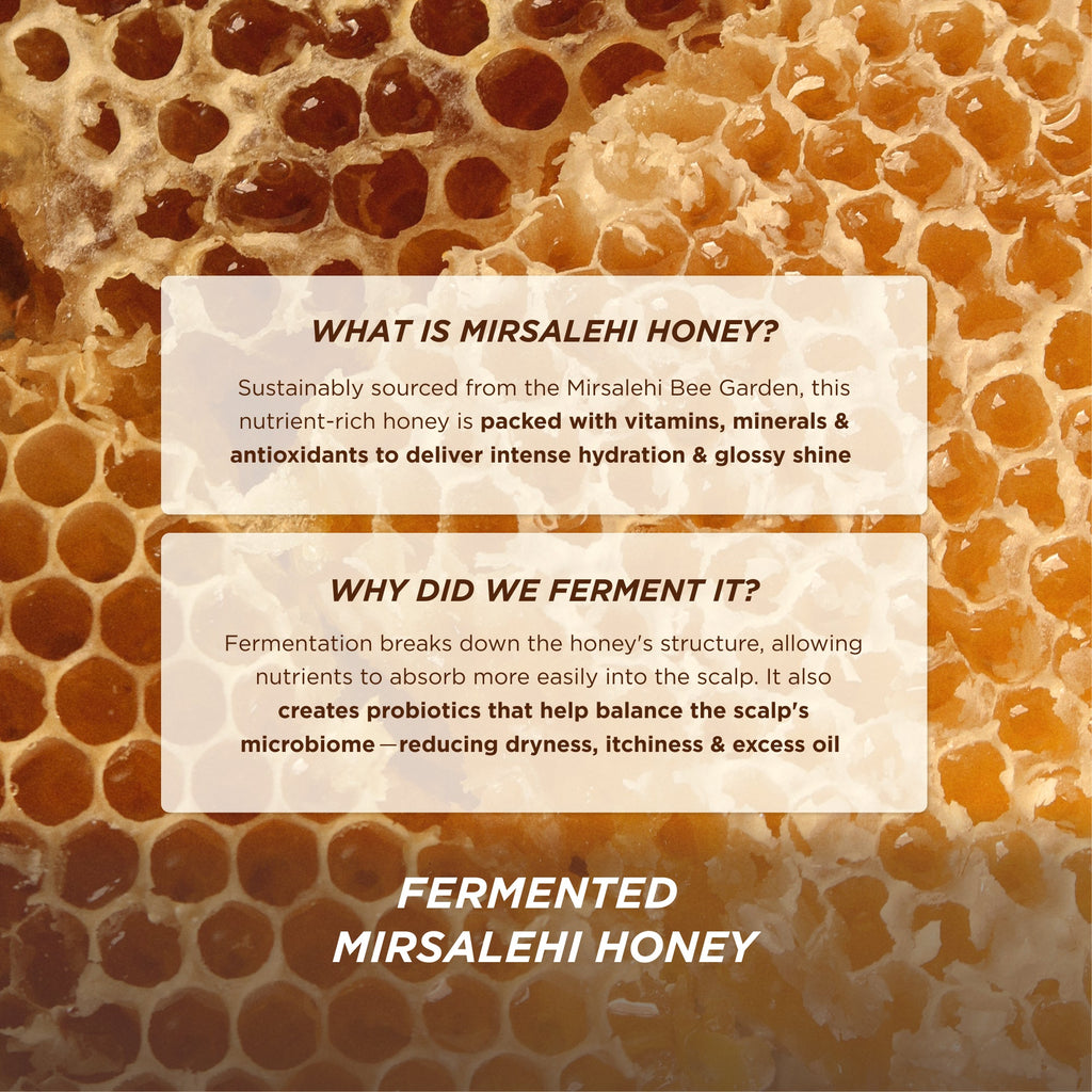 Honey Gloss Ceramide Therapy Hydrating Conditioner