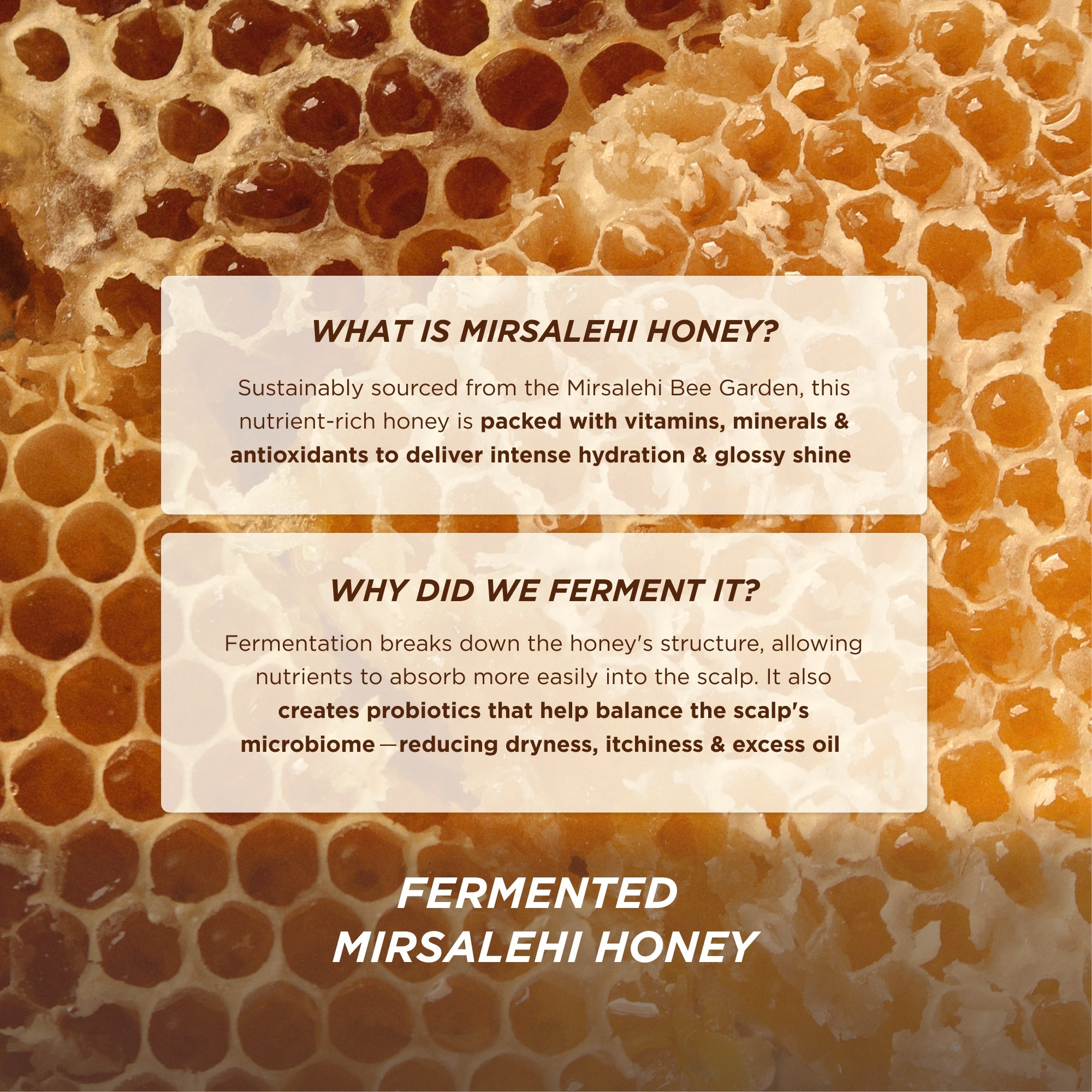 Honey Gloss Ceramide Therapy Hydrating Conditioner
